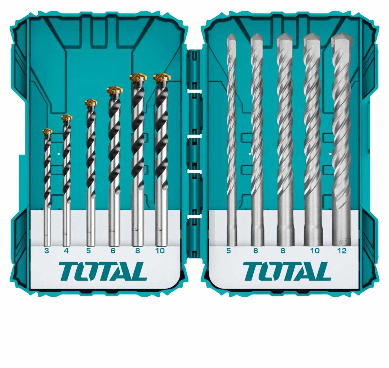 TACSDL31101